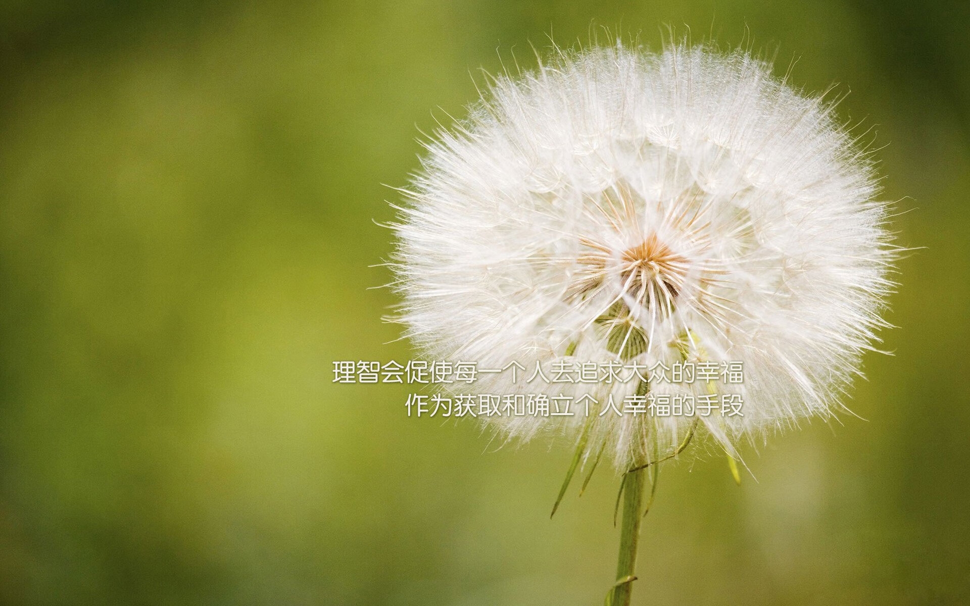 随机数据驱动：比赛胜负背后的统计统计，比赛数据统计app