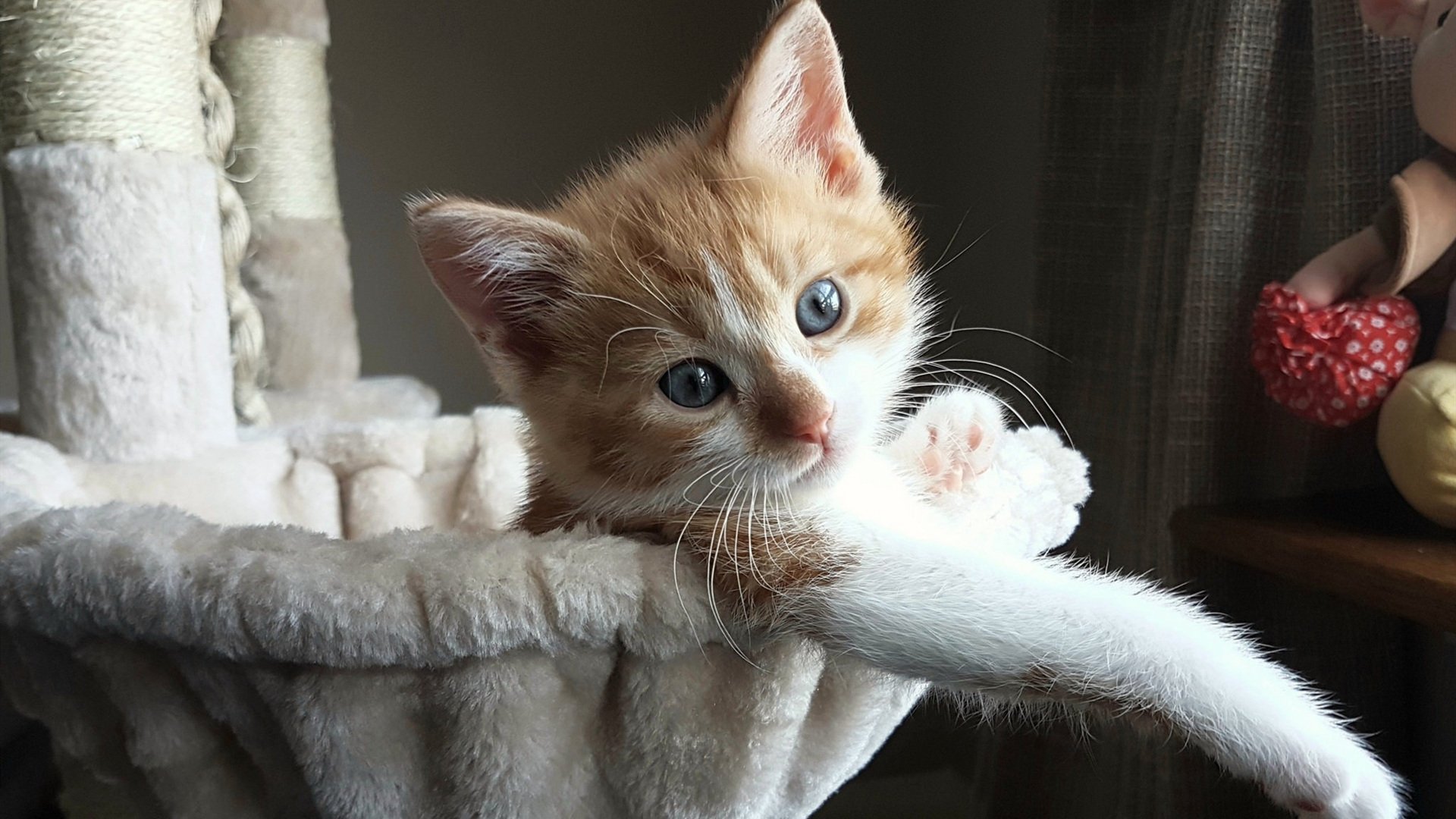 随机青少年足球持续火热，青训试点城市经验继续推广应用，青少年足球训练营