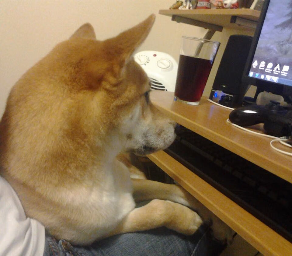 随机山东泰山中场球员发挥关键作用，山东泰山队球场