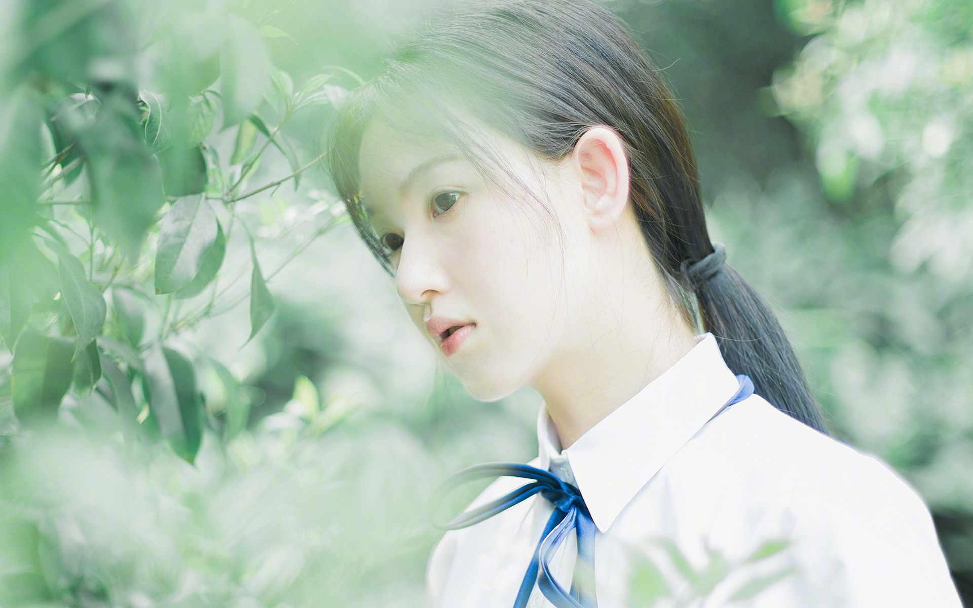 随机山东泰山连续多场不败,山东泰山队重大调整