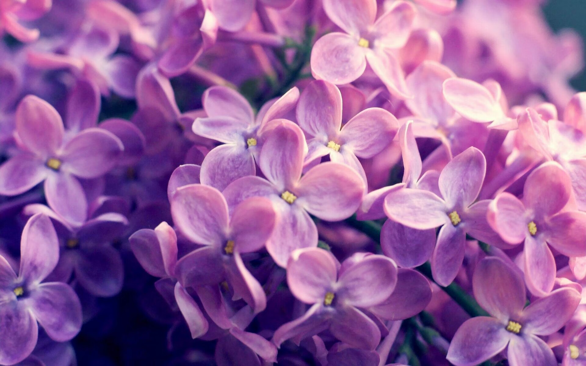 随机年轻门将神扑三连，助力胜利，门将神扑救