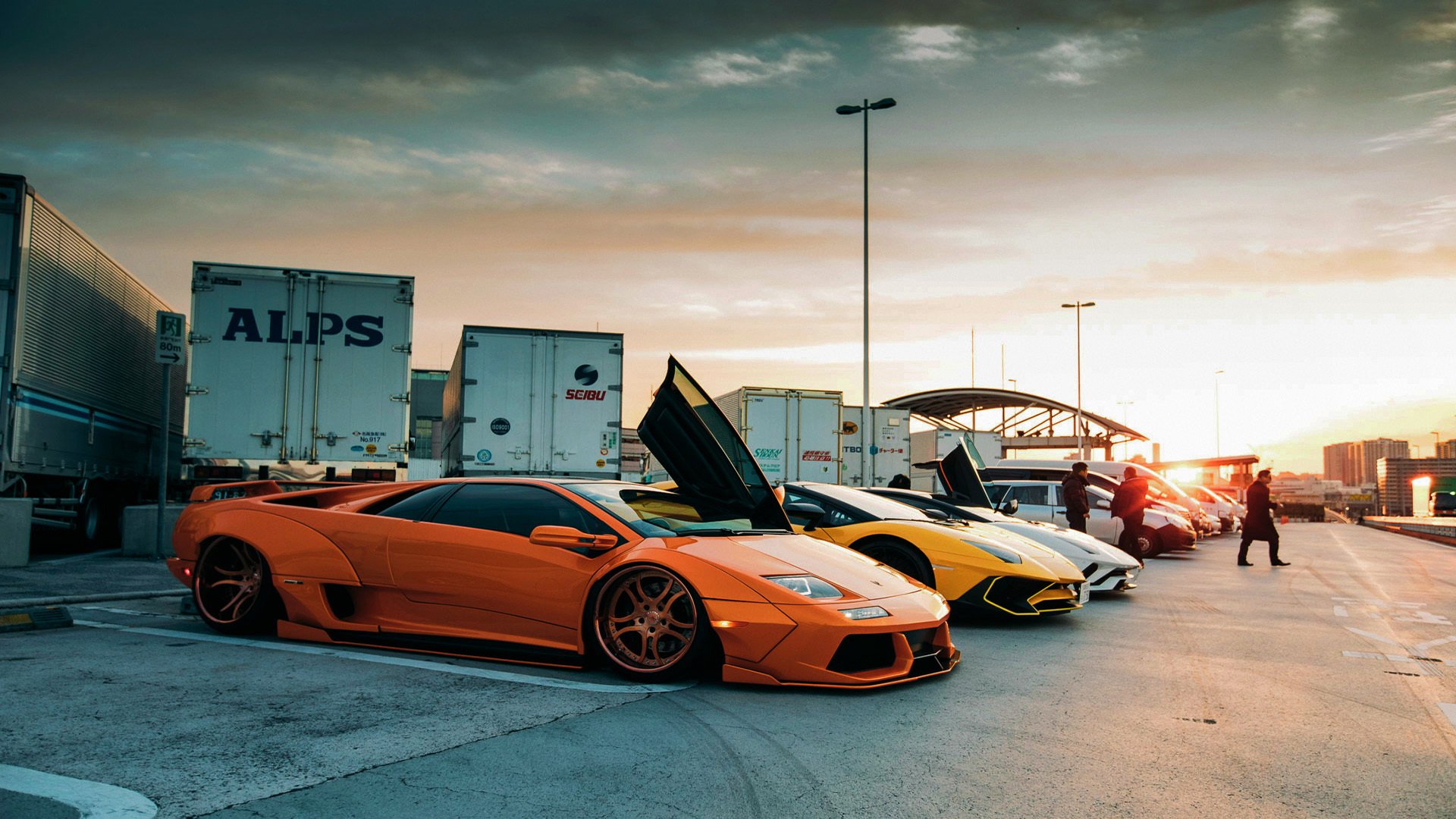 随机新疆飞虎球员训练态度积极，新疆飞虎篮球队