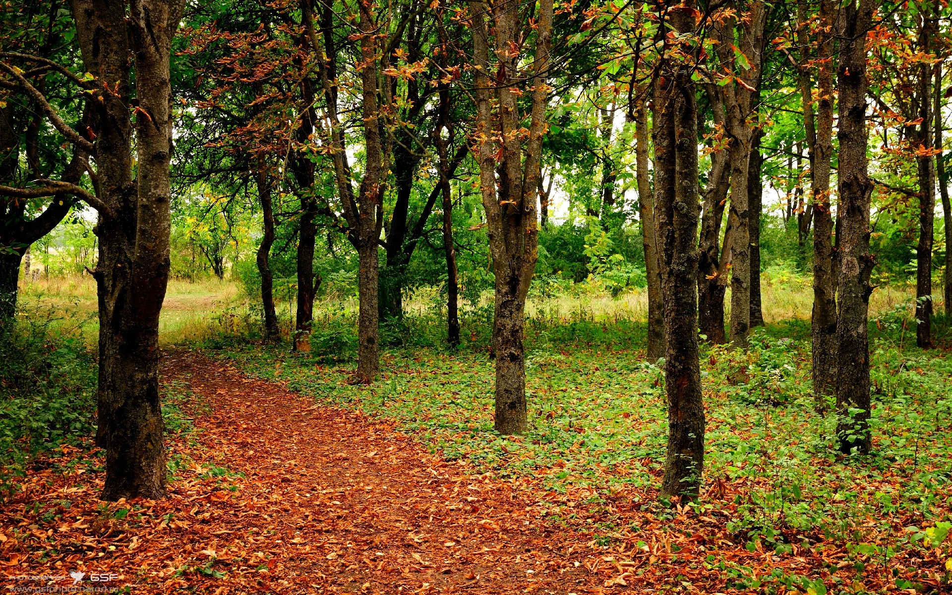 随机是否应设置球员心理健康评分机制