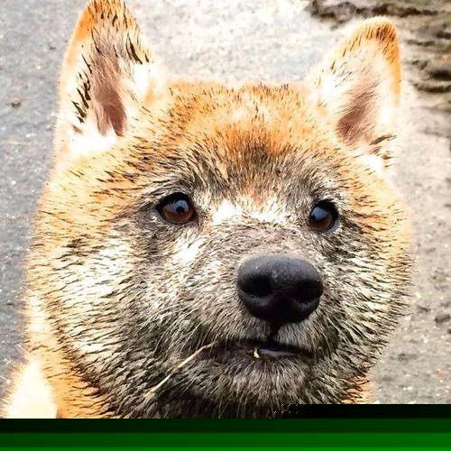 随机球队备战新赛季CBA联赛,全力以赴备战,cba 新赛季