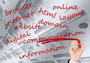 随机NBA球队品牌建设及粉丝忠诚度培养研究,nba球员粉丝数排名