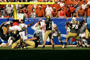 随机NBA球员职业规划实施方案，nba球员职业生涯
