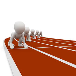 随机中小学体育健康教育课程内容优化研究，中小学体育健康教育课程内容优化研究心得体会