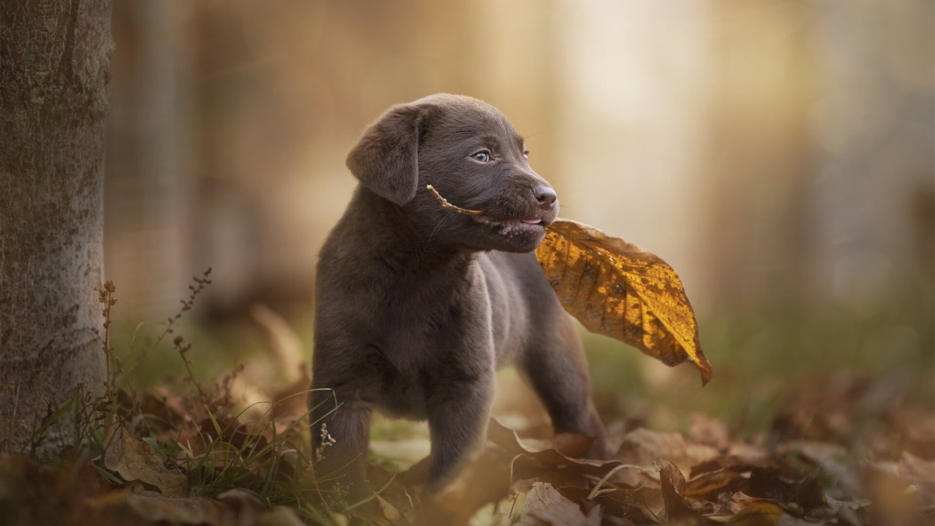 随机体育场馆智能安全系统，体育场馆智慧化
