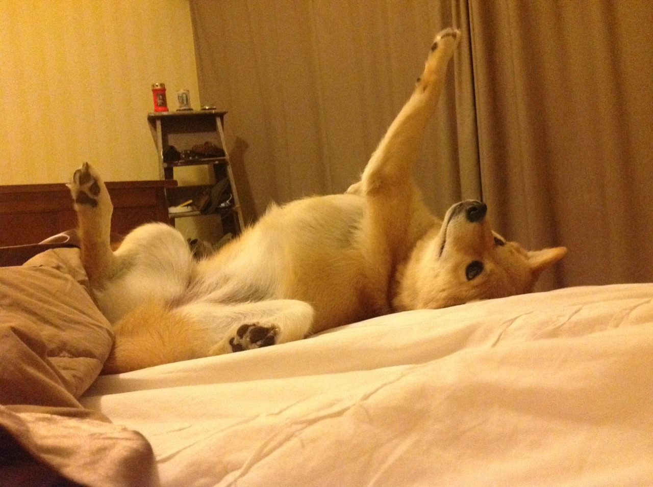 九游网-国足世界杯预选赛复盘剖析,国足世界杯预选赛比赛时间