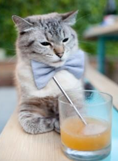 九游app官网下载-历史战役:五大联赛史上最经典的决战瞬间回顾,五大联赛历史冠军