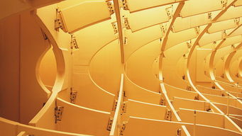 九游电脑版-校园体育文化建设实践成效及发展路径分析,校园体育文化建设范畴包括