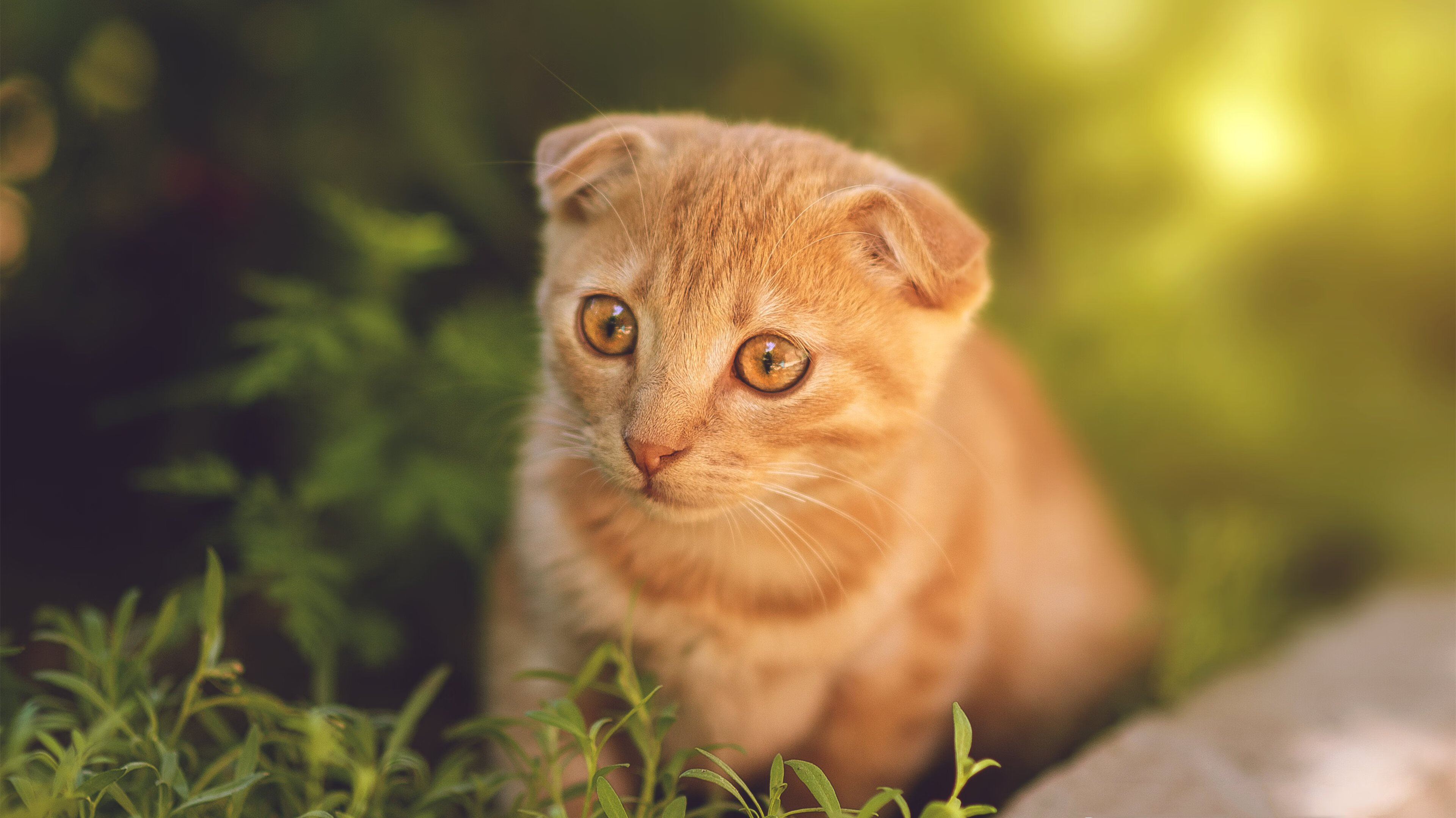 Jiuyou-篮球专项动作捕捉技术研发与教学应用,篮球如何抓球教学视频