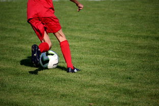 Jiuyou-篮球比赛策略智能辅助系统研发与应用,篮球智能训练