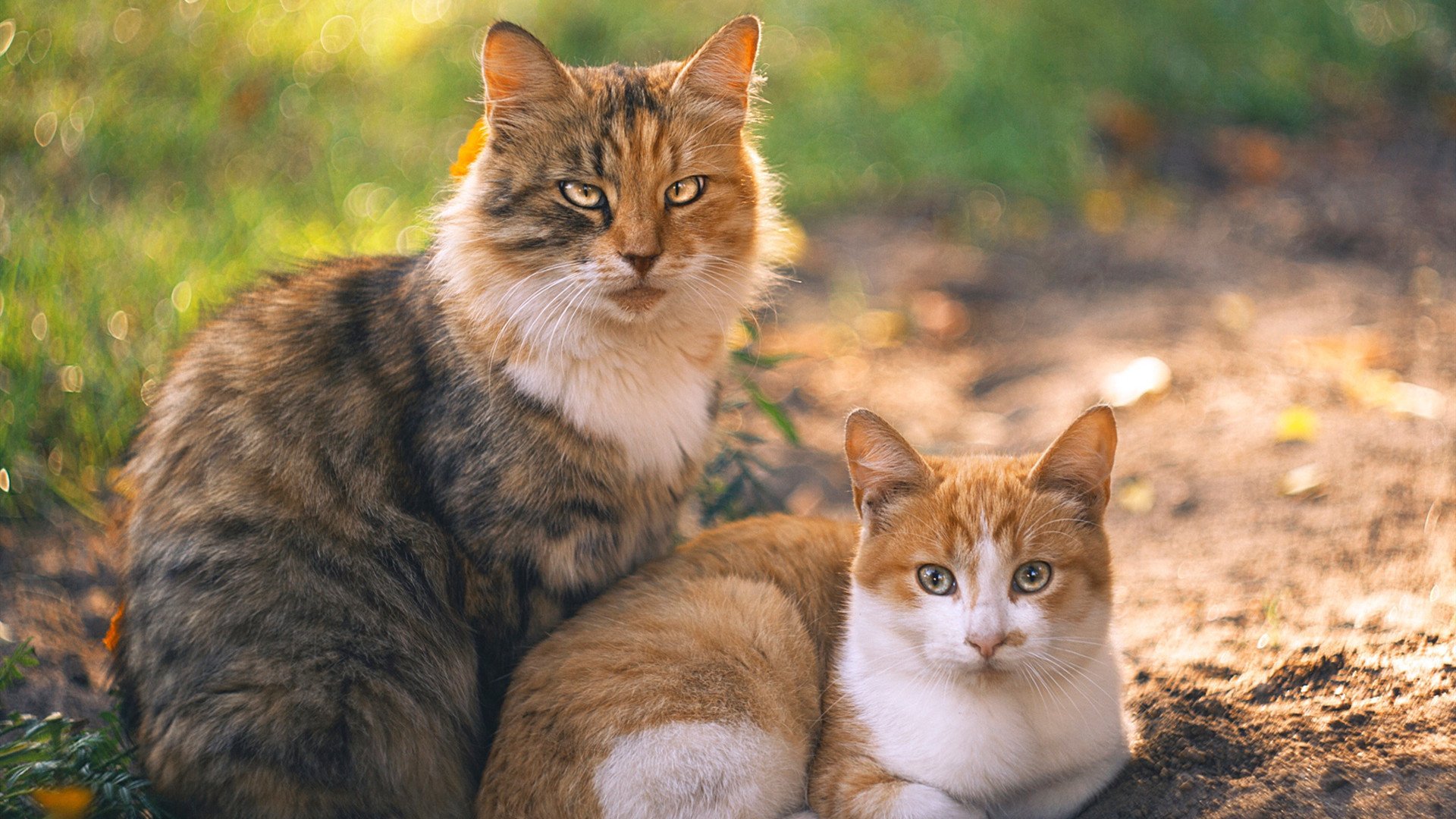 九游游戏中心官网-仰泳项目德国已跻身世界前十,仰泳的世界纪录是多少