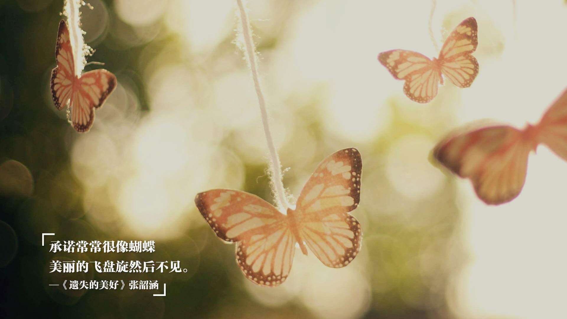 Jiuyou-印度乒乓球队在2024年世界杯的表现,创造历史新篇章,印度乒乓球什么水平