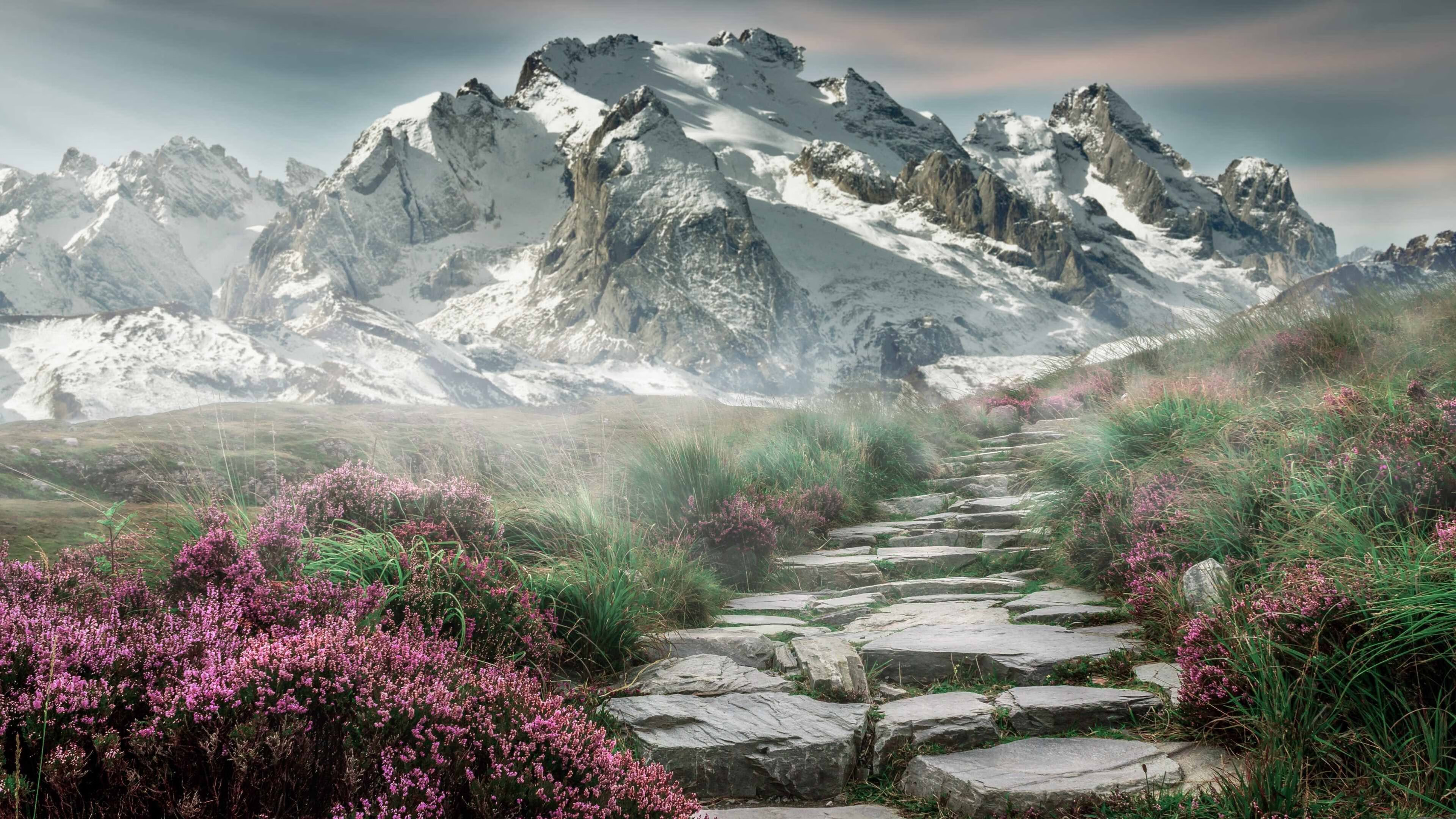 九游娱乐-国家女篮亚洲杯夺冠推动女子篮球发展，亚洲女子篮球杯战绩