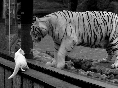 九游网-年轻后卫如何挑战豪门稳定防线地位，十大年轻中后卫