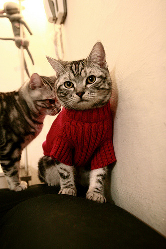 JIUYOU GAMING-七六人调整战术体系恩比德表现更为高效，恩比德37分76人不敌开拓者