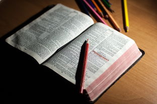 九游娱乐官网 (JIUYOU)-体育教师能力认证制度在试点城市启动，体育教师资格证认定条件