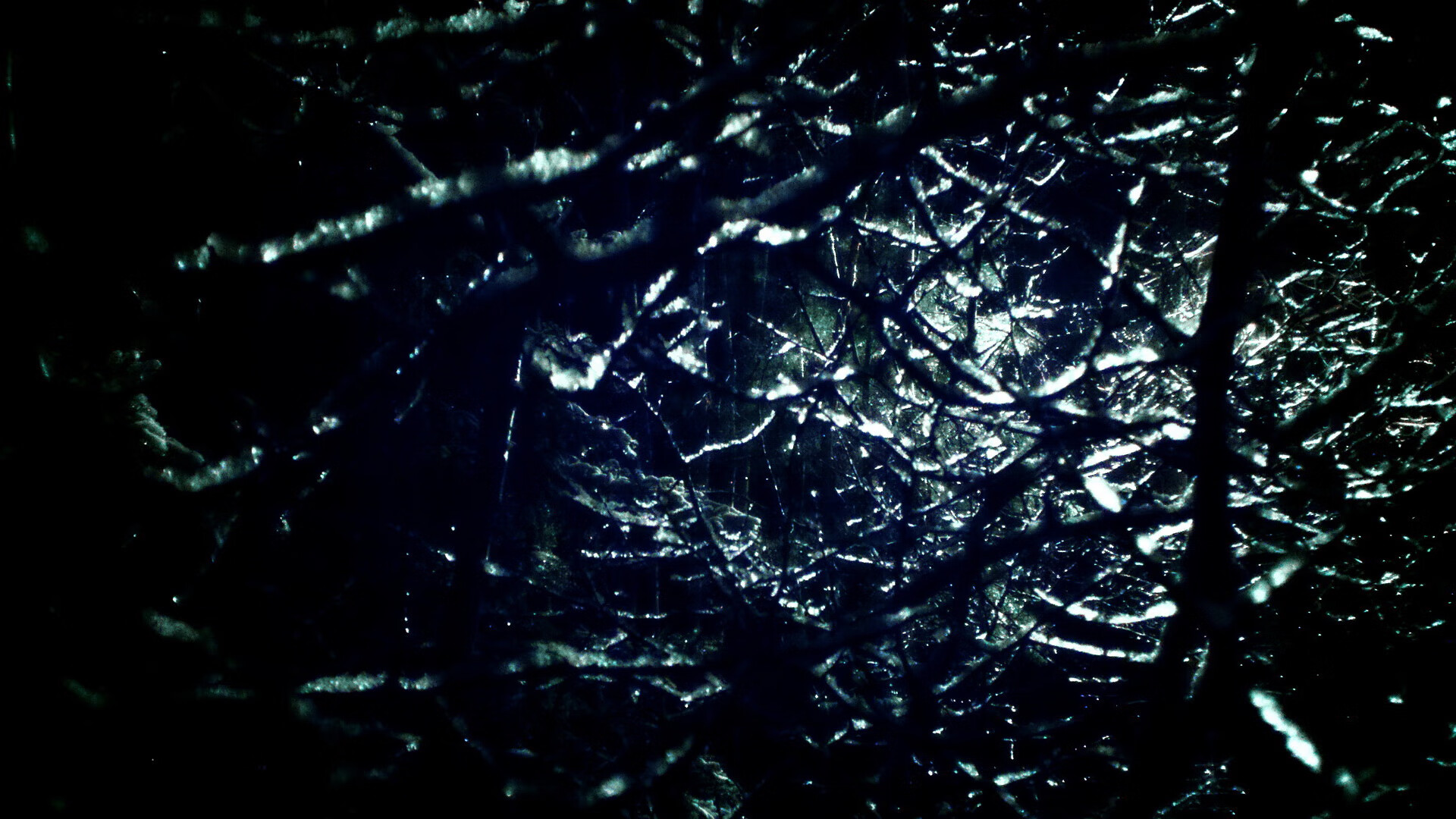 九游网游官网-喀麦隆女篮在非洲锦标赛中屡获佳绩，期待更高成就