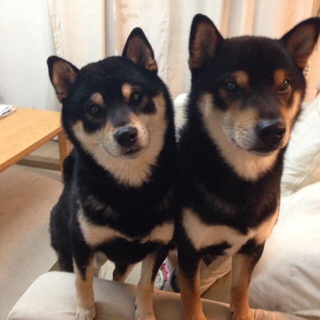 九游游戏中心官网-柯尔赞仰泳节奏掌控精准无误